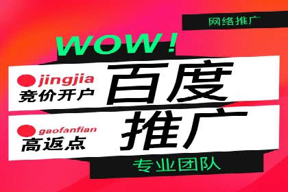 百度竞价推广助力企业品牌崛起案例